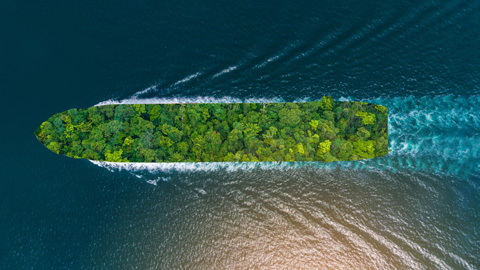 Aerial view of a ship with a forest-covered deck sailing through the ocean.